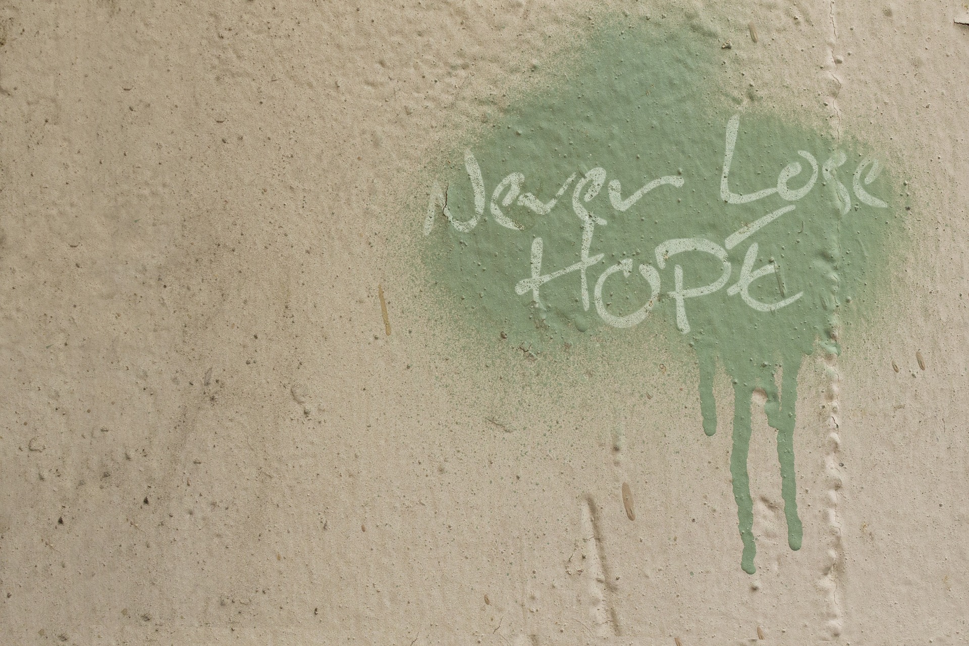 never lose hope